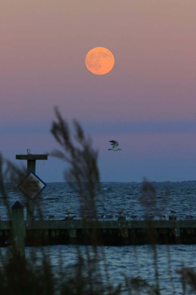 homes for sale in Chesapeake Beach Maryland