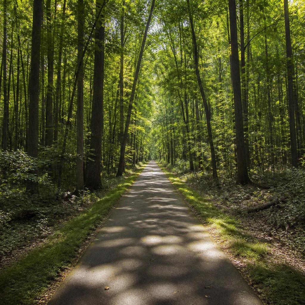 homes for sale in Indian Head Maryland 13-mile rail trail paved path hardwood forest